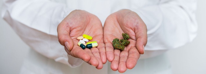 Doctor holding marijuana in one hand and pills in the other. 