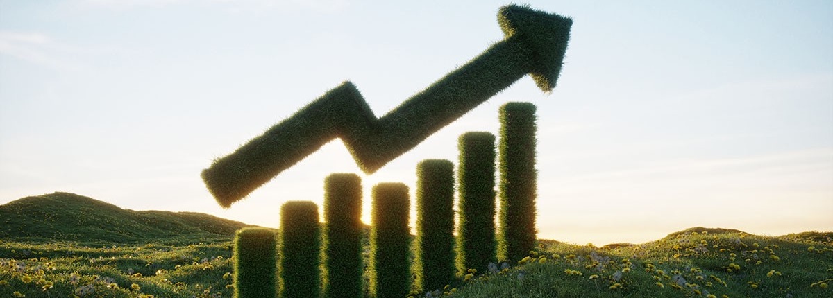 Growing grass chart on the grassy field. (3d render).