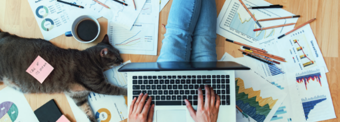 person sitting on a tan colored wood floor with a laptop on their lap and papers strewn all over with various charts and metrics. there is a dark colored cat lying beside them with 2 randomly placed sticky notes on her belly. there is also a half full coffee cup and various stationery strewn all over. 