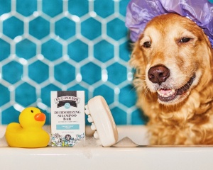 Pet~Pourri packaging on display. 