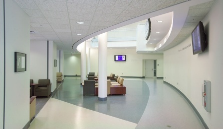 The atrium from ground level. 