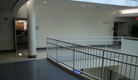 View of the offices from the atrium. 