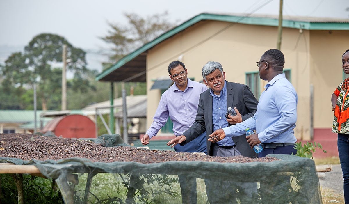 Ghana cocoa research. 