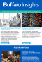 Buffalo Insights newsletter preview. 