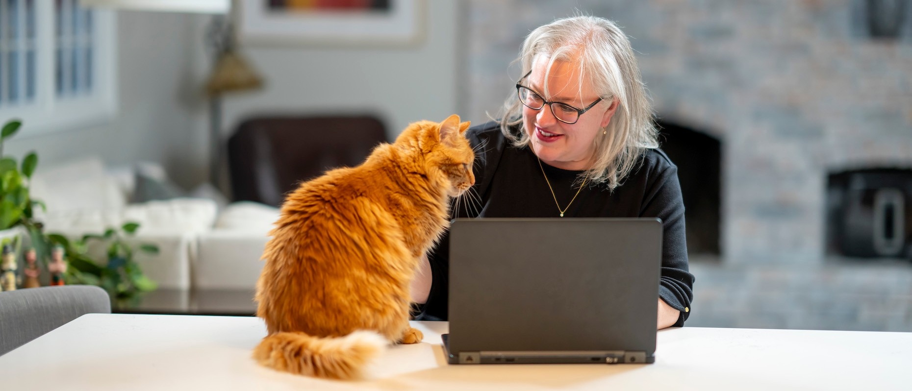 School of Management student working at home on a laptop with help from an orange cat. 