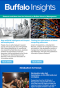 Buffalo Insights newsletter preview. 
