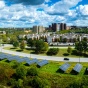 Solar panels on UB North Campus. 